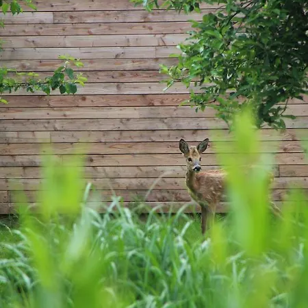 Sfeervol Midden In De Horská chata Halle