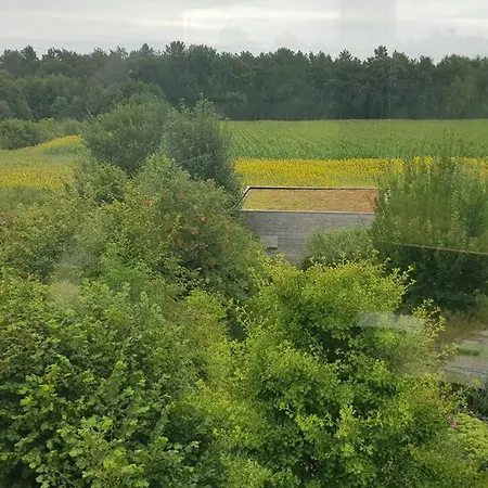 Sfeervol Midden In De *