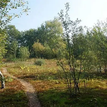 Sfeervol Midden In De *
