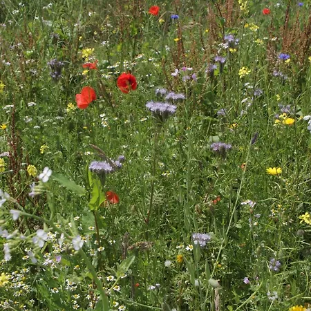 Horská chata Sfeervol Midden In De