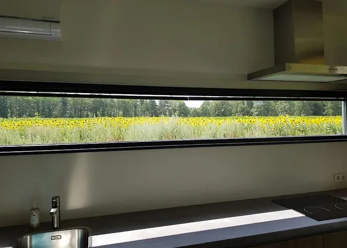 Sfeervol Midden In De * Halle