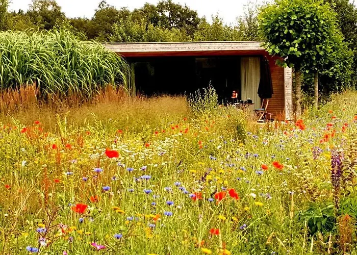 Sfeervol Midden In De
