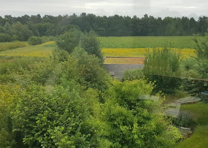 Sfeervol Midden In De *