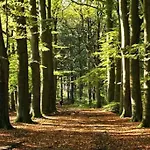 Σαλέ Sfeervol Midden In De