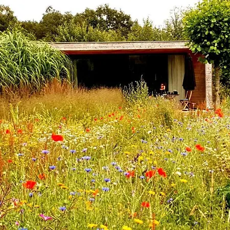 Sfeervol Midden In De