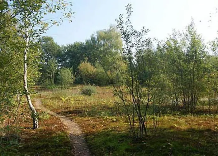 Sfeervol Midden In De *